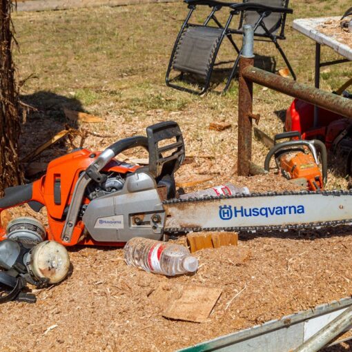 Schneiden der Bäume