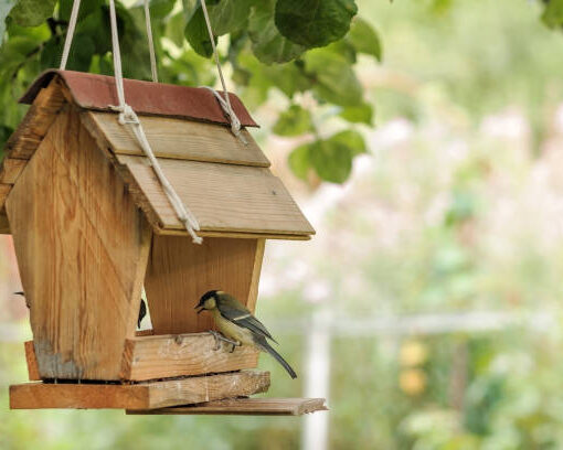 Futterhäuser für Vögel